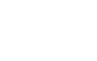 TL logo